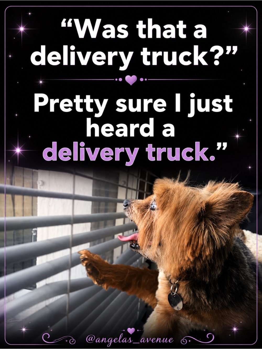 📦Fast Shipper📦 🚀